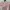 Minimalist Casual Crop top Wanita white pink photo 1