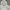 Ader Streetwear Y2K Hoody Pria gray photo 2