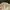 New Era Vintage Hat Pria tan gray photo 4