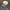 New Era Vintage Hat Pria tan gray photo 2