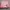 Vintage Wanita pink photo 1