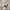 Vintage Y2K Hat Pria white black photo 2
