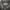 Greenlight Vintage Luxury Bomber jacket Pria black photo 2