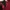 Streetwear Indie Harrington jacket Pria burgundy red photo 4