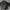 ZARA Biker Leather jacket Pria black photo 2