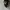 Futurist Casual Bag Pria tan black photo 6