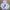 Playboy Futurist Hoody Pria white photo 1