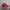 Titleist Streetwear Sportswear Hat Pria red photo 2