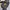 Nike Streetwear Y2K Track jacket Pria black gray photo 4