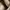 VANS Skater Sneakers Pria white photo 3