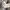 VANS Skater Sneakers Pria white photo 4