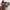 VANS Streetwear Sneakers Pria Brown