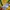 Nike Sportswear Jersey Pria yellow photo 4