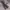 Y2K Pria black gray photo 2