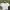 Sportswear Crop top Wanita white photo 5