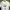 Casual Crop top Wanita white gray photo 2