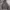 Levi's Streetwear Hoody Pria green gray photo 1