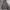 Levi's Streetwear Hoody Pria Green Gray
