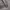 Levi's Streetwear Hoody Pria green gray photo 4