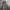 Levi's Streetwear Hoody Pria green gray photo 2