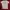 Champion Vintage T-shirt Pria gray photo 1