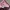 Japanese brand Streetwear Y2K Skirt Wanita multicolor photo 4