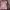 Japanese brand Streetwear Y2K Skirt Wanita multicolor photo 5
