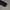 Reebok Streetwear Casual Windbreaker Pria black photo 4