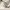 Grooverhyme Vintage Streetwear T-shirt Pria white photo 7