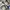Vintage Streetwear Sneakers Pria white gray photo 4
