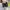 New Balance Streetwear Sneakers Pria black photo 4