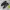 New Balance Streetwear Sneakers Pria black photo 1