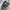 Nike Streetwear Sneakers Wanita green black photo 5