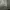 VANS Streetwear Casual Sneakers Pria gray photo 7