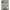 Champion Streetwear Sweatshirt Pria gray photo 4