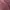 Jean Paul Gaultier Y2K Avant Garde T-shirt Pria burgundy photo 5