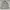 Luxury Casual Suit Pria white photo 6