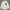 Harries Tweed Luxury Casual Casual shirt Pria white photo 1