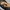 Le Specs Vintage Sneakers Pria multicolor photo 6