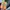 Le Specs Vintage Sneakers Pria multicolor photo 5