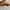 Le Specs Vintage Sneakers Pria multicolor photo 3