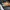 Le Specs Vintage Sneakers Pria multicolor photo 1