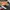 Le Specs Vintage Sneakers Pria multicolor photo 7