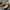 Le Specs Vintage Sneakers Pria multicolor photo 8