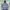 Billabong Streetwear Sportswear Windbreaker Pria multicolor photo 1