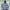 Billabong Streetwear Sportswear Windbreaker Pria Multicolor