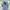 Billabong Streetwear Sportswear Windbreaker Pria multicolor photo 3