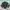 Urban Research Streetwear Casual Windbreaker Pria multicolor photo 1