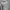 Nike Streetwear Sportswear Hoody Pria gray photo 1
