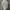 Ocean Pacific Streetwear Sportswear Hoody Pria gray photo 4